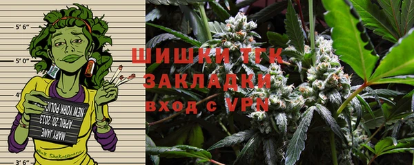 шишки Алзамай