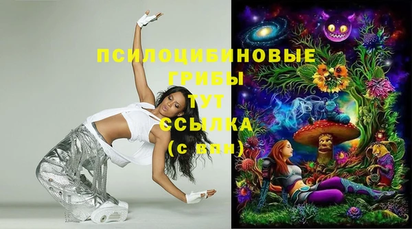 спиды Алексин