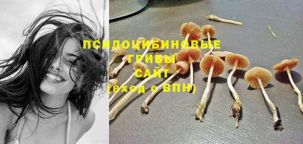 спиды Алексин