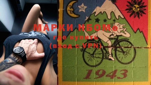 шишки Алзамай